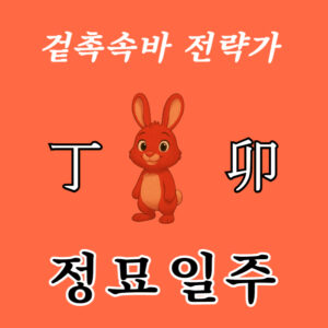 정묘일주